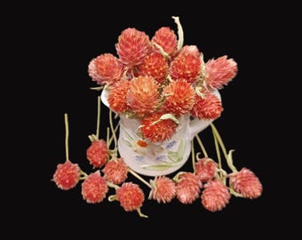 30 Gomphrena, Orange-Salmon-Cantaloupe Shades, 2-4&quot; Total Length, Dried Orange Gomphrena, Small Dried Flowers