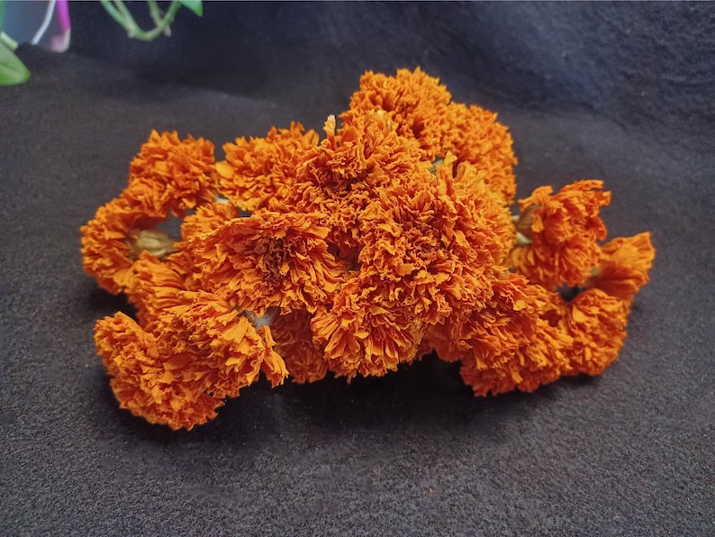 May include: A bunch of dried orange marigold flowers. The flowers are arranged in a cluster and have a delicate, frilly texture.