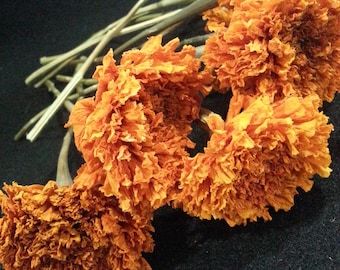 12 Marigold, Orange,  1-1 1/2" flower heads, 6-8" total length. Dried Marigolds