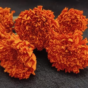 8 Marigold Orange, 2&quot; flower size , 4-8&quot; total length, Orange Dried Flowers, Dried Marigolds