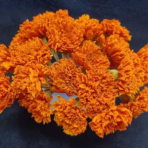 25 Mini Marigold, Orange, 1/2-1&quot; flower size , 3-5&quot; total length, Orange, Small Dried Flowers