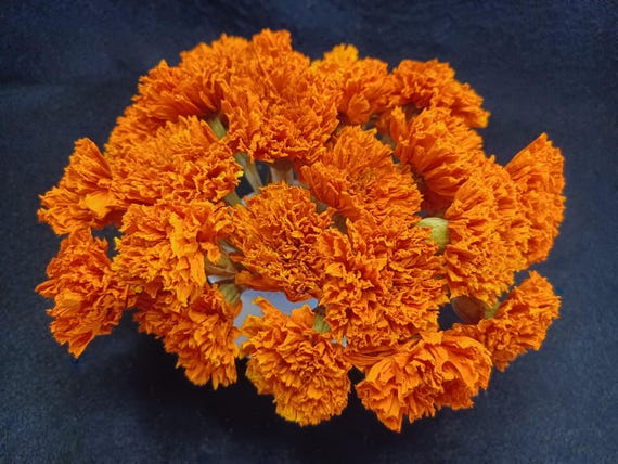 20 Mini Marigold, Orange, 1/2-1" flower size , 3-5" total length, Orange, Small Dried Flowers