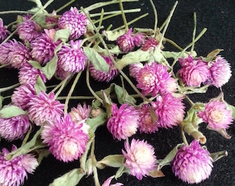 40 Mini Gomphrena, Bi-Color Purple/White, 1/4 to 1/2&quot; flowerheads with 1-3&quot; stems, Mini Dried Flowers, Small Dried Flowers, Wedding Flowers