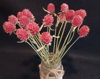 20 Gomphrena Orange Cantaloupe Shades, 10-12" Total length, Small Dried Flowers, Wedding Flowers