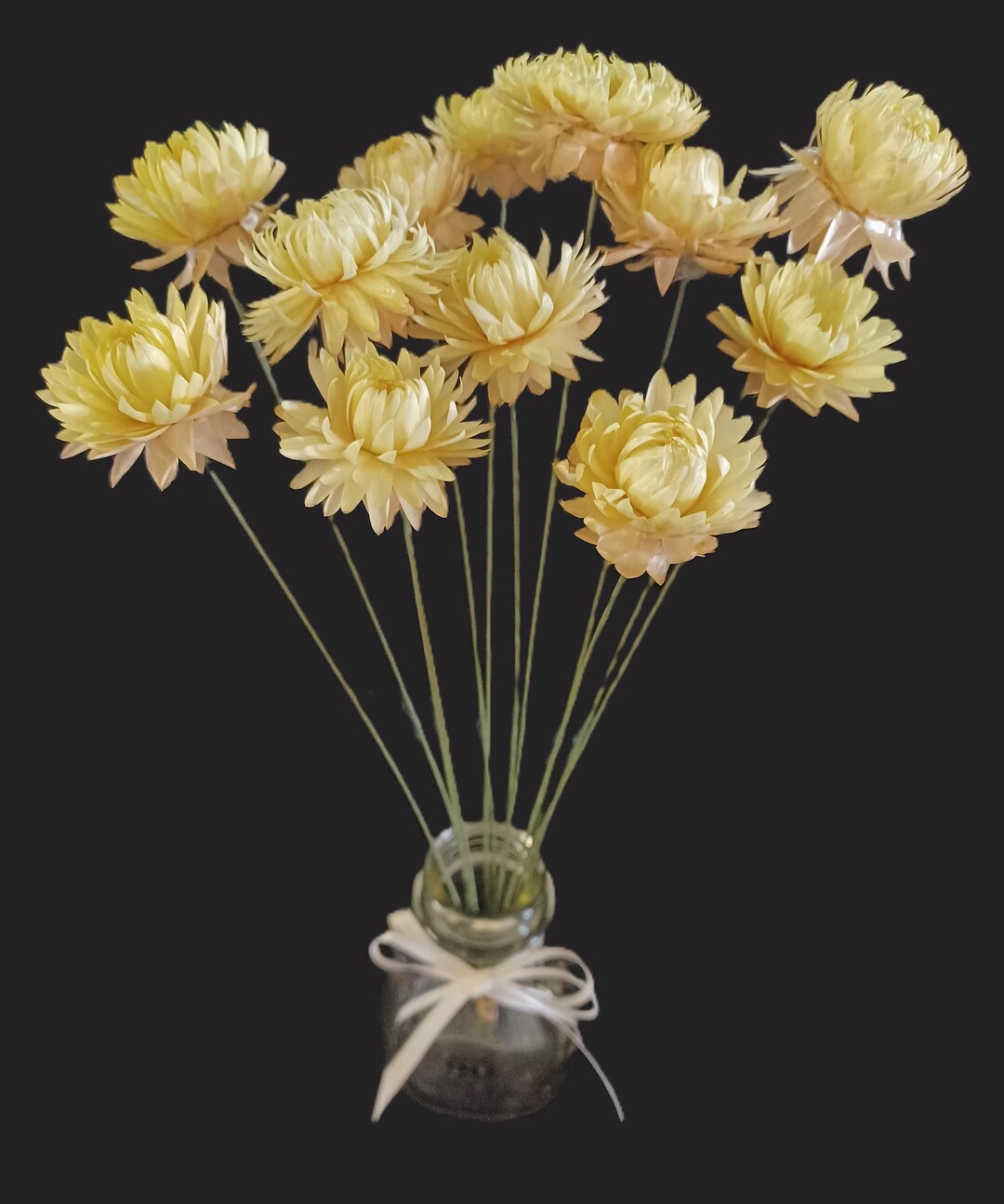 Inco Flower 12 Strawflowers, Buttery Pastel Yellow on 14