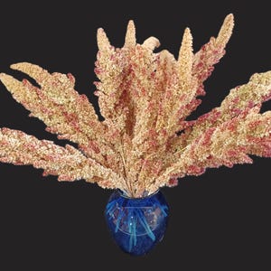 14 Red Tip Amaranth, 12&quot; Total Length, Dried Flowers, Dried Amaranth