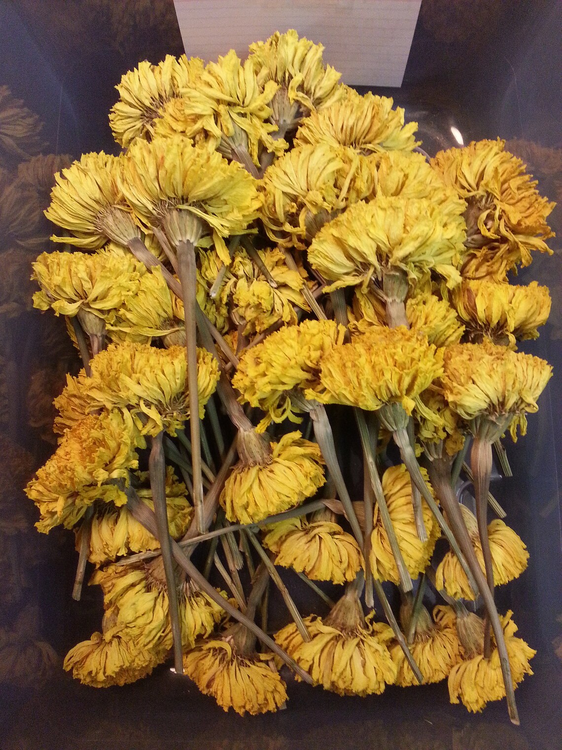 6 Dried Marigold Yellow Jumbo heads. 23 flower size Etsy