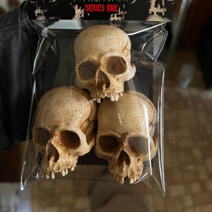 Set of 3 skulls, Highly Detailed Human Skull magnets, Gifts for Her, Gift for Him, Horror Gift