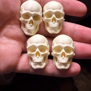 May include: Four small, off-white, realistic human skull replicas arranged in a square formation. Each skull features detailed eye sockets, a nasal cavity, and a set of teeth, showcasing a textured bone-like surface finish across the entire structure.