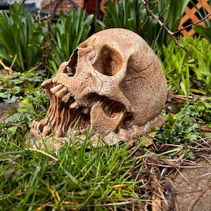 Concrete Garden Skull Halloween Decor