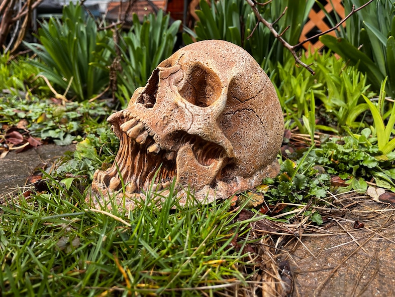 Concrete Garden Skull Halloween Decor