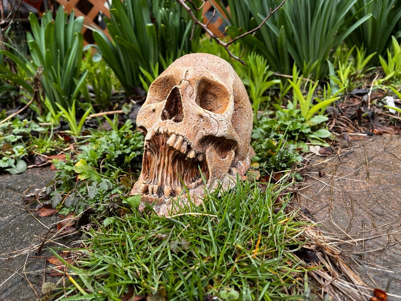 May include: A detailed, realistic-looking, white skull with an open mouth and visible teeth, resting in a bed of green grass.