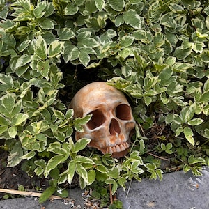 Creepy Decor Garden Skull
