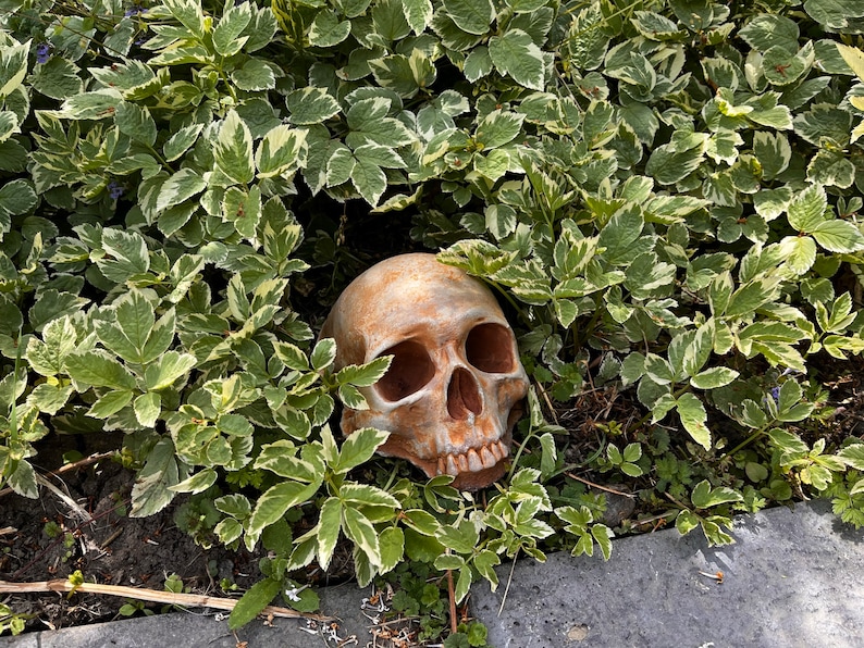 Creepy Decor Garden Skull