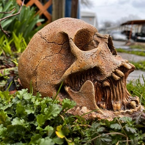 Garden Skull 2.0, Creepy Garden Decor, Garden Gifts, Halloween Garden Decor, Concrete Human Skull, Spooky Garden Decor,
