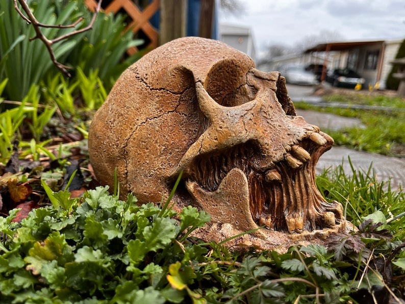Garden Skull 2.0 by Mooreskulls