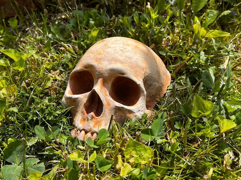 Concrete Garden Skull lifesize