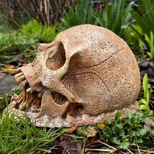 Garden Skull Decor