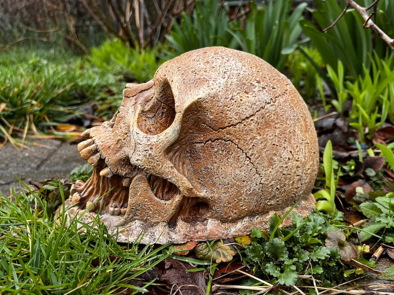 Garden Skull Decor