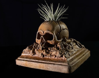 The Skull Concrete Planter, Air Plant Planter, Halloween Decor, Garden Decor, Unique Gift, Gift for Her, Horror Planter, Garden Gift