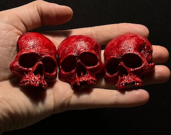 Set of 3 bloody skulls, Highly Detailed Human Skull magnets