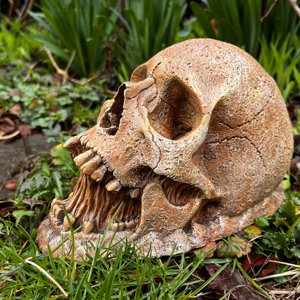 Garden Skull 2.0, Creepy Garden Decor, Garden Gifts, Halloween Garden Decor, Concrete Human Skull, Spooky Garden Decor,
