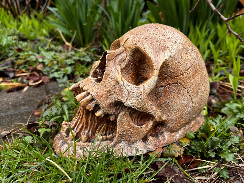 Garden Skull, Concrete Human Skull