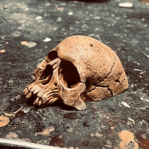 Mini Garden Skull Style B, Halloween Decor, Gothic Garden Decor, Potted Plant Skull Decor, Aquarium Decor, Human Skull Decor,