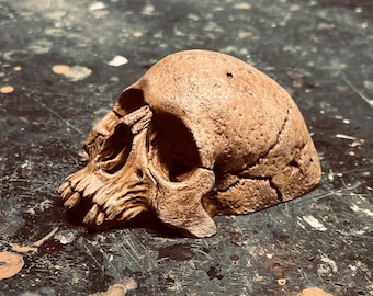 Mini Garden Skull Style B, Halloween Decor, Gothic Garden Decor, Potted Plant Skull Decor, Aquarium Decor, Human Skull Decor,