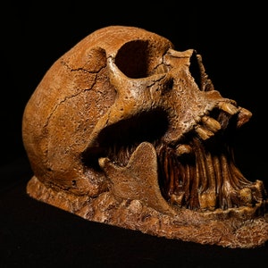 May include: A detailed replica of a human skull with a cracked surface and open jaw, revealing teeth. The skull is a light brown color and is set against a black background.