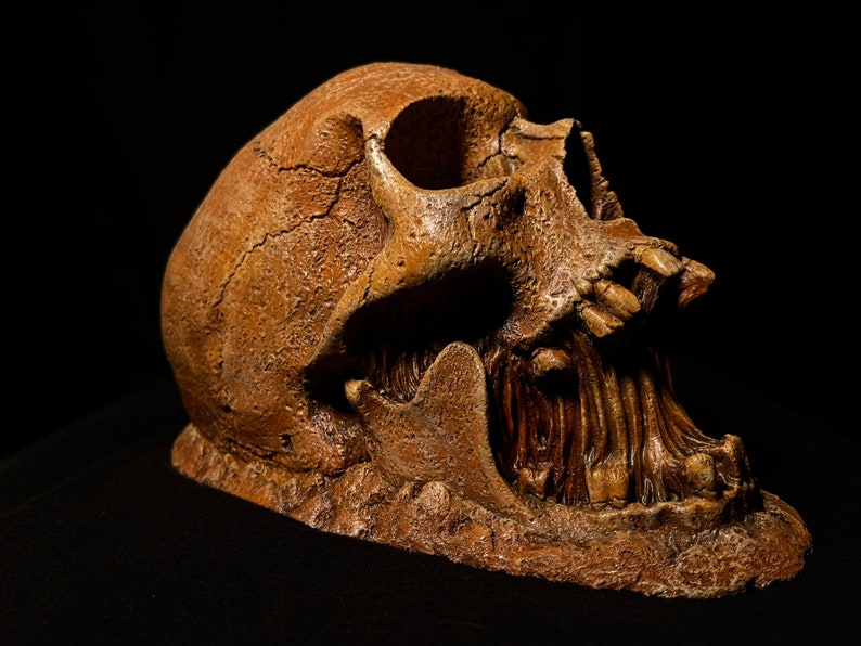 May include: A detailed replica of a human skull with a cracked surface and open jaw, revealing teeth. The skull is a light brown color and is set against a black background.
