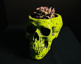 Skull Planter, succulent desk planter, Garden Decor, Gothic Skull Decor