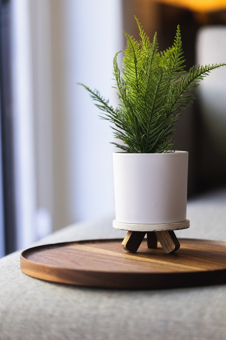 Roto Minimalist Round Tray / Walnut / Catchall Serving Tray / 12 inches