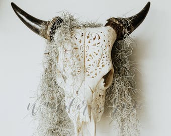 Faux Cow Skull Image | Styled stock photo with blank space & Greenery for Blogs, Websites, and Instagram