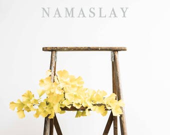 Artists Ladder Bright and Airy | Styled Stock Makers Image with blank space & leaves for Blogs Websites and Instagram