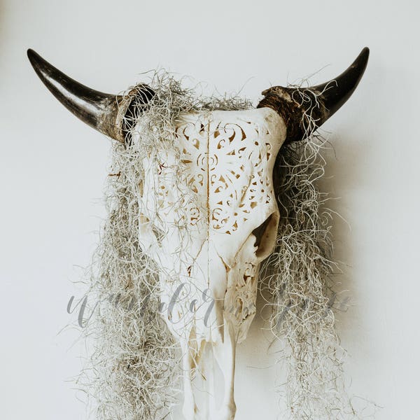 Faux Cow Skull Image | Styled stock photo with blank space & Greenery for Blogs, Websites, and Instagram