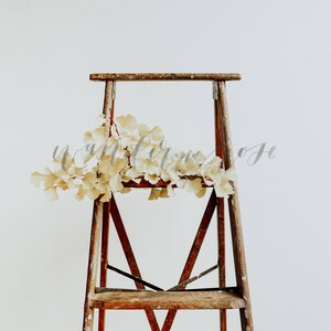 May include: A rustic wooden step ladder with a light brown finish. A garland of dried, light yellow leaves is draped across the top rung.