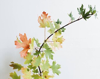 Fall Leaves Image | Styled Stock Holiday Thanksgiving with blank space & leaves for Blogs Websites and Instagram