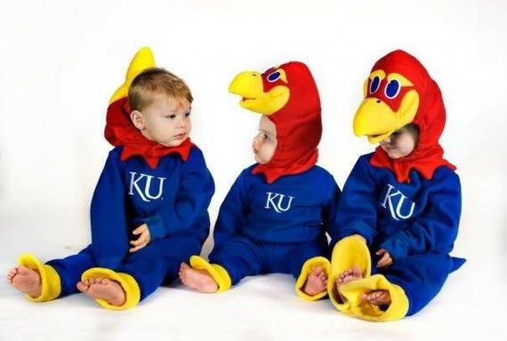 18 month duck costume