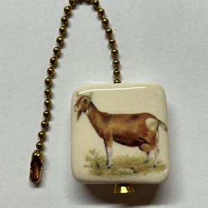 May include: A square, cream-colored ceramic light pull featuring a detailed illustration of a brown and white goat standing in green grass. The pull is attached to a gold-toned metal ball chain with a matching gold-toned connector at the base.
