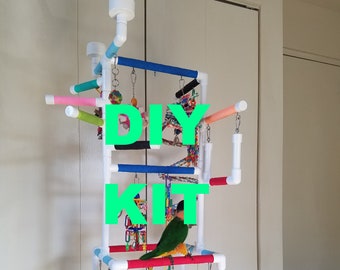 bird play gym