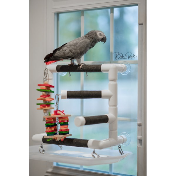 THE ULTIMATE OBSERVER - Window Play Gym for Caiques, Conures, African Greys, Amazons, Small Cockatoos, Eclectuses and Medium and Large Birds