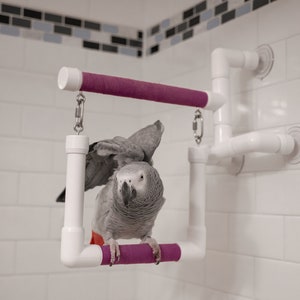 Shower/Window Perch W/ Optional Swing - Medium