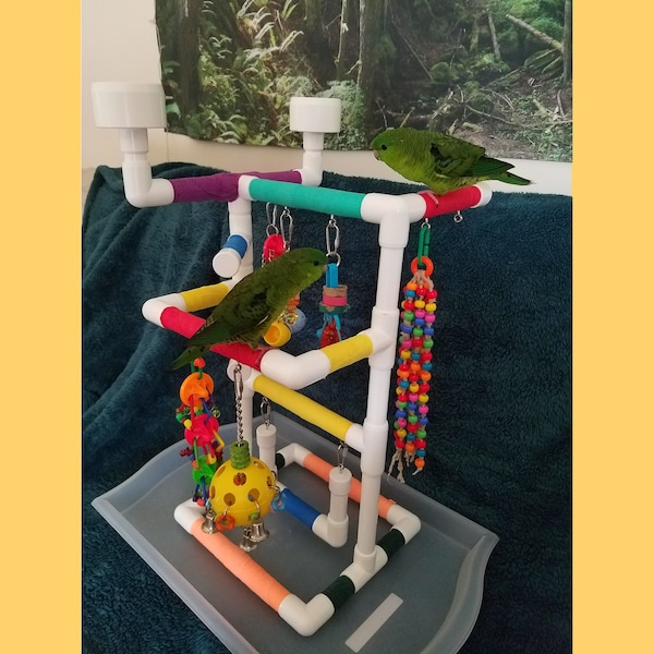 THE MINI-INDULGER Tabletop-Version: Fun Play Gym and Play Stand for Parrotlets, Green Cheek Conures, Parakeets, Lovebirds and Small Birds