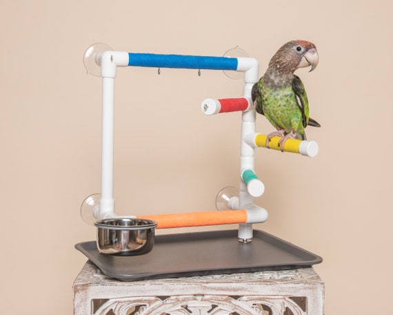 THE OBSERVER Window Play Gym for Cockatiels Conures Caiques