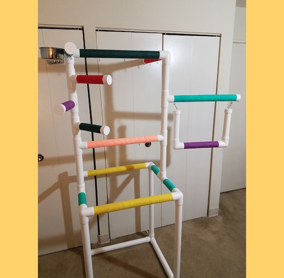 parrot play gym australia