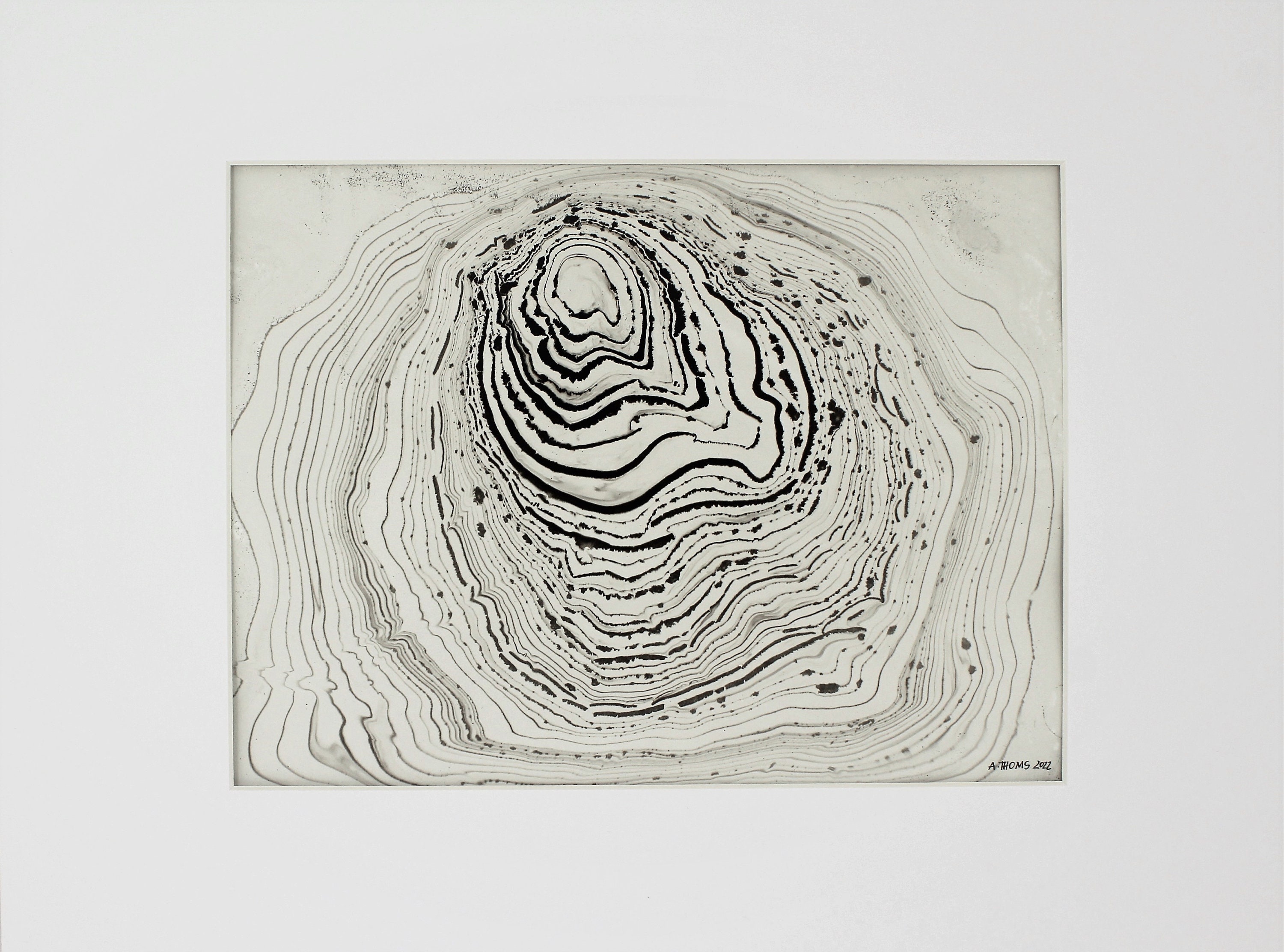 Japanese Shell Picture - Etsy