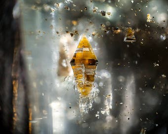 Biotite in Topaz - Photomicrograph