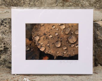 Winter Water Droplets / 8x10 print + matte