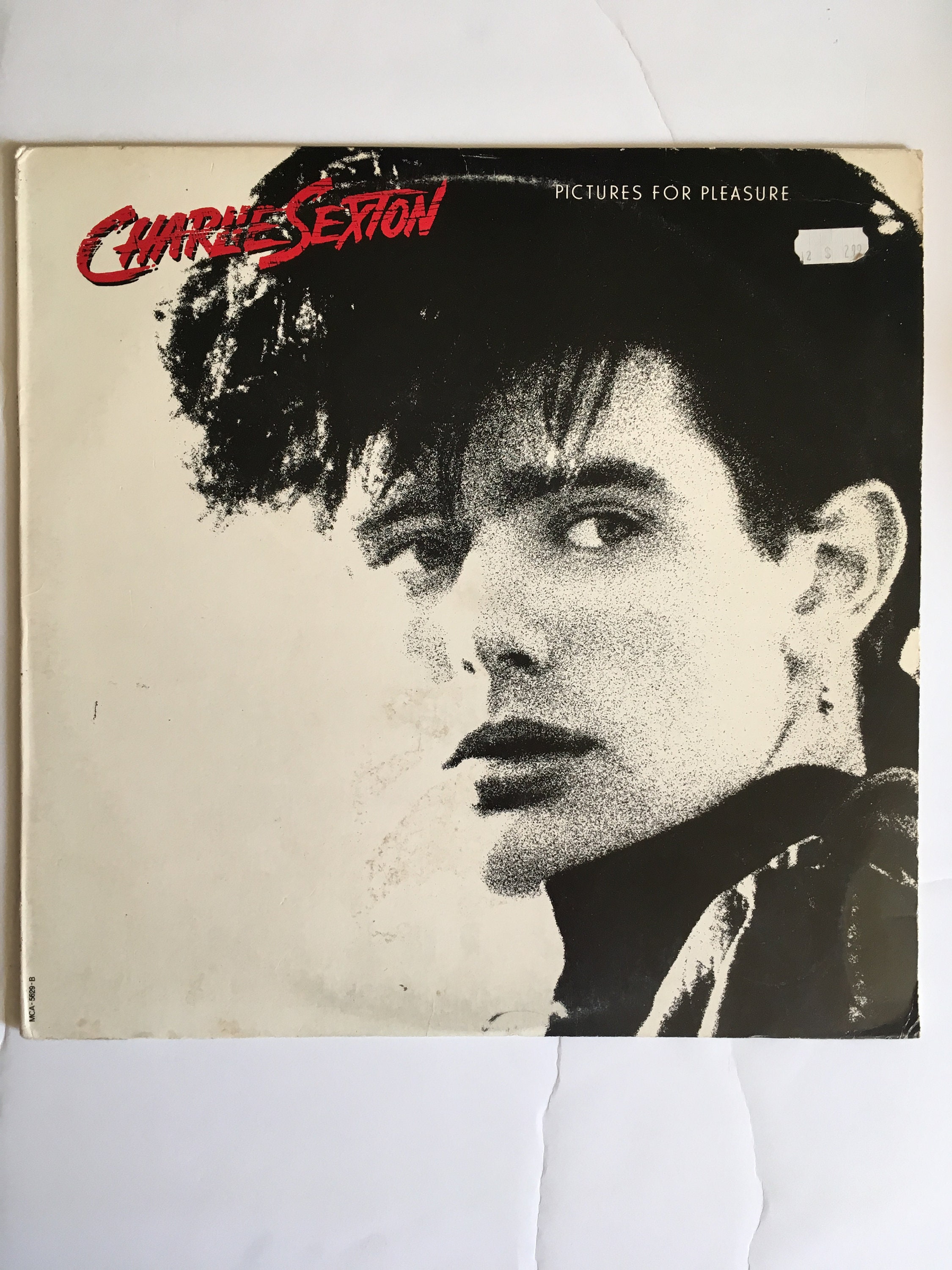 Charlie Sexton Pictures for Pleasure Vinyl - Etsy